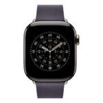Apple Modern Buckle 42mm Midnight Purple - Large