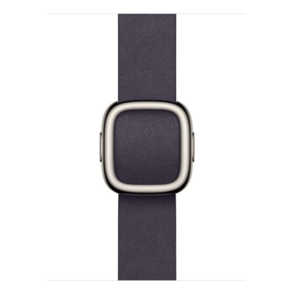Apple Modern Buckle 42mm Midnight Purple - Large