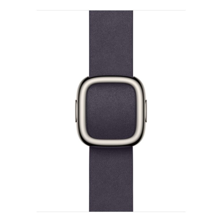 Apple Modern Buckle 42mm Midnight Purple - Large