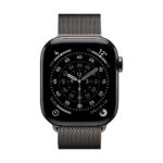 Apple Watch Band Slate Stainless Steel