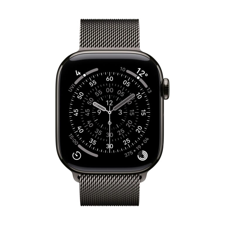 Apple Watch Band Slate Stainless Steel