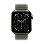 Apple Watch Magnetic Link - 42mm Sage Grey S/M
