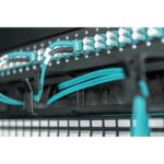 Digitus 1U 19" Cable Management Panel with Brush Entries, Black, Steel Housing