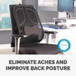 Fellowes Professional Series Mesh Office Chair Back Support Graphite