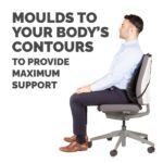 Fellowes Professional Series Mesh Office Chair Back Support Graphite