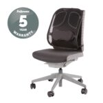 Fellowes Professional Series Mesh Office Chair Back Support Graphite