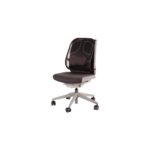 Fellowes Professional Series Mesh Office Chair Back Support Graphite