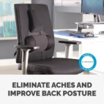 Fellowes Professional Series Ultimate Back Support for Office Chair - Black, H36.5 x W37.5 x D5.5cm