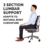 Fellowes Professional Series Ultimate Back Support for Office Chair - Black, H36.5 x W37.5 x D5.5cm