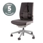 Fellowes Professional Series Ultimate Back Support for Office Chair - Black, H36.5 x W37.5 x D5.5cm