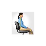 Fellowes Professional Series Ultimate Back Support for Office Chair - Black, H36.5 x W37.5 x D5.5cm