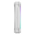 Fractal Design Momentum 12 RGB 12cm Case Fan with PWM, Fluid Dynamic Bearing, White