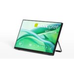 Hannspree HT220CUA 21.4" Full HD LED Touchscreen Monitor 60 Hz IPS Black
