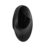 Kensington Pro Fit Ergo Wireless Mouse - 6 Buttons, RF Wireless + Bluetooth, Black