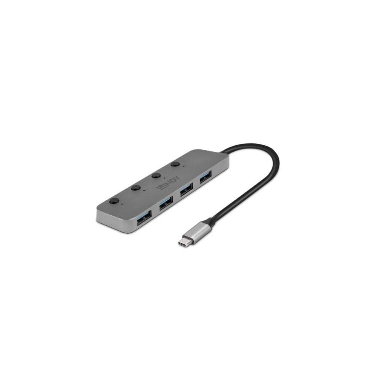 Lindy 4 Port USB 3.2 Gen 1 Type-C Hub with On/Off Switches, 5Gbps, 0.3m Cable, Grey
