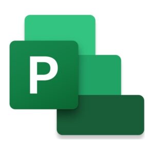 Microsoft Project Standard 2021 Project Management Software 1 License English Windows 10/11