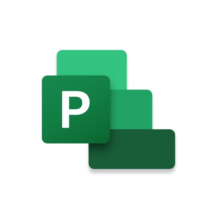 Microsoft Project Standard 2021 Project Management Software 1 License English Windows 10/11