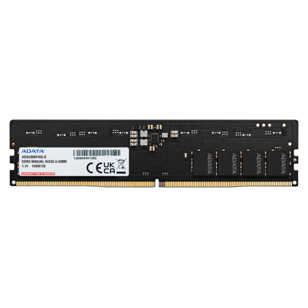ADATA DDR5 RAM 8 GB 5600 MHz 1 x 8 GB Unbuffered DIMM Memory Module