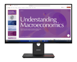 Lenovo ThinkVision Monitors