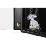 Digitus Dynamic Basic series Wall-mounted rack 12U 600x600mm Steel Black Glass Door with Key Lock