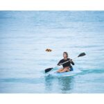 HOVERAir Aqua Standard Combo Underwater Drone 4K 100fps Waterproof IP67 Floating Orange with Lighthouse 128GB Storage