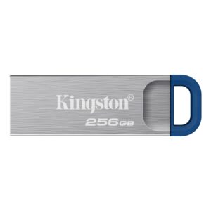 Kingston DataTraveler Kyson 256GB USB 3.2 Gen 1 Flash Drive 220MB/s Read Capless Stainless Steel