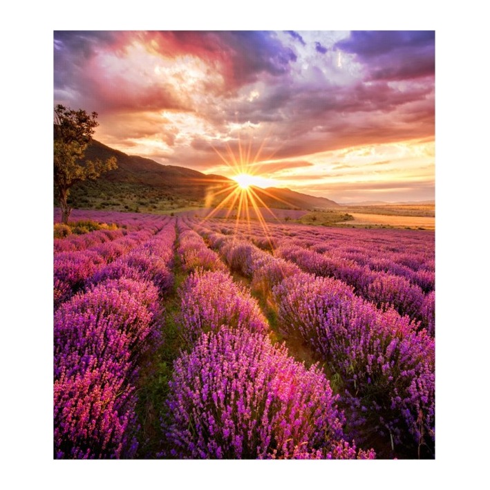 Samsung IF015E Transparent Mesh LED Indoor Display 320x360 Resolution 3840Hz Refresh Rate 600 cd/m² Brightness
