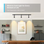 TP-Link Tapo L630 Smart Wi-Fi Spotlight GU10 Multicolour Dimmable LED Bulb 2-Pack 350 Lumens Voice Control
