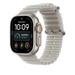 Apple Ocean Band Silicone for 44mm 45mm 46mm 49mm Smartwatch Translucent Gray Black Titanium Buckle