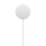 Apple Watch Magnetic Fast Charger to USB-C Cable 1 m White