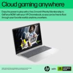 HP Chromebook 15a-nb0004na 15.6" Full HD IPS Intel Core i3-N305 8GB 128GB Wi-Fi 6 ChromeOS Silver