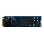 Kingston DC2000B Enterprise SSD 960 GB PCIe 4.0 NVMe M.2 2280 Heatsink